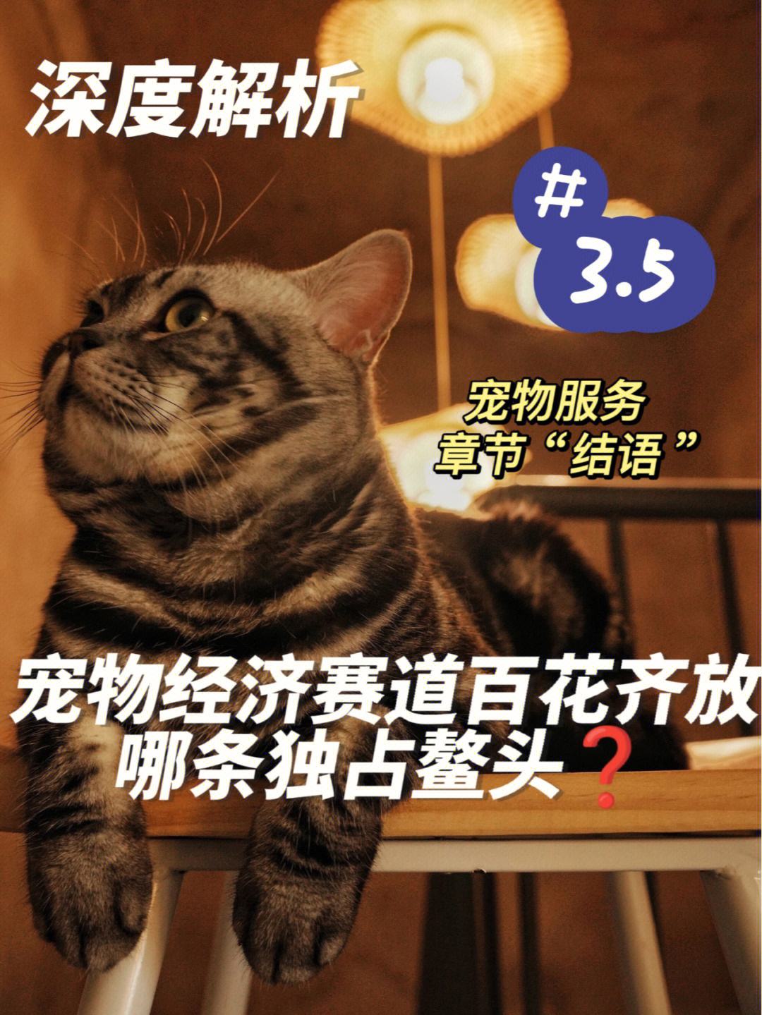 关于实力对比：谁能在接下来的比赛中独占鳌头？的信息