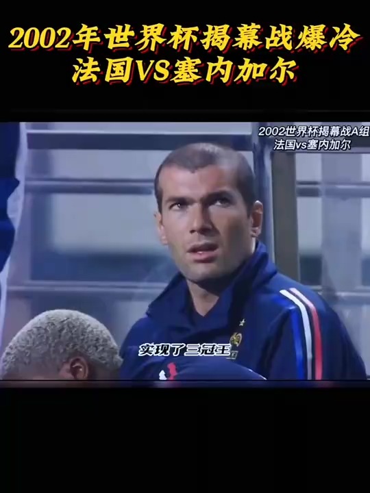 法国队淘汰德国成为欧锦赛黑马